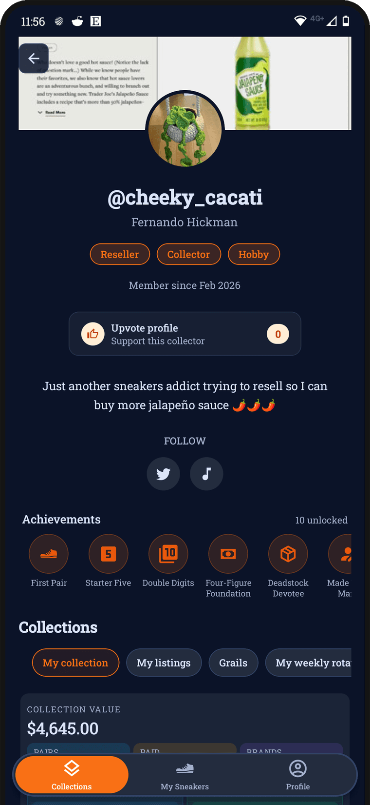 Public collector profile with badges, achievements, and collection value